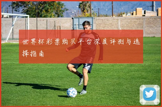 世界杯彩票购买平台深度评测与选择指南
